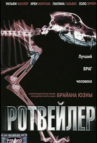Постер к фильму